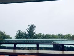 -半山半岛洲际度假酒店·观海廊
