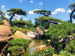 -罗红摄影艺术馆