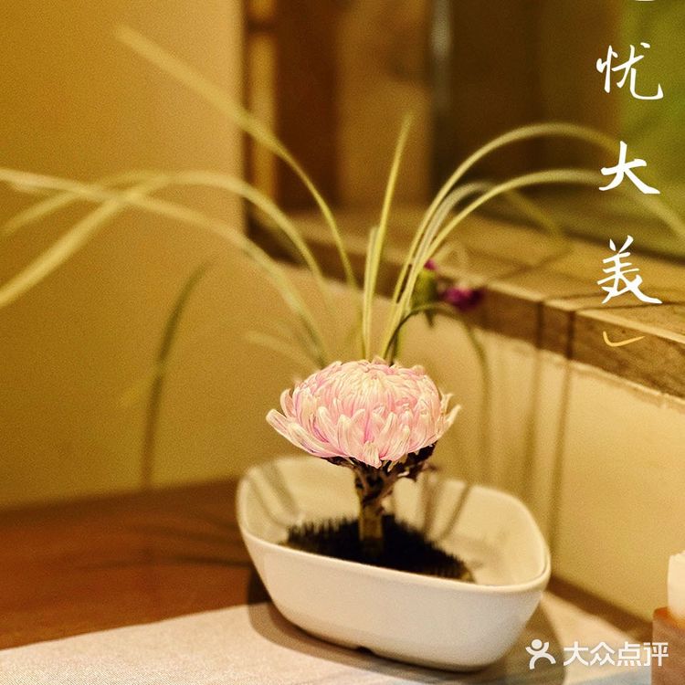 闺蜜也太会了吧！找到这家小众的国风宝藏餐厅