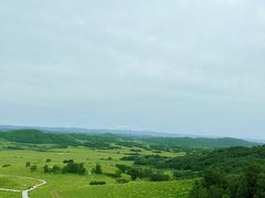 -御道口草原森林风景区