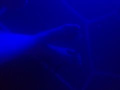 紫清湖生态旅游温泉度假区-南京汤山紫清湖生态旅游温泉度假区