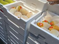 -鲜力达果品批发直销(青山店)
