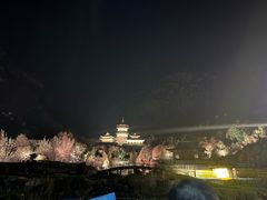 -禅宗少林·音乐大典