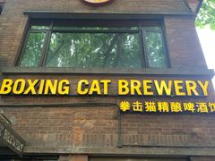 -Boxing Cat Brewery拳击猫精酿啤酒馆(永福店)