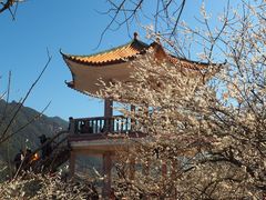 -广州市流溪河国家森林公园