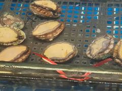 -烧货·活海鲜炭烧(湖滨商业街店)
