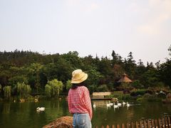 -南京银杏湖乐园