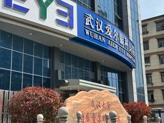 -武汉大学附属爱尔眼科医院(湖北总院)