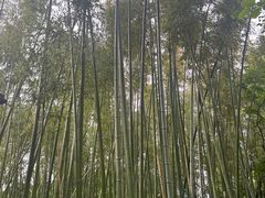-汇龙潭