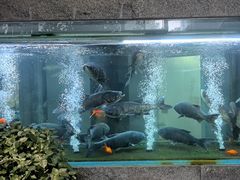 -又见炊烟私房菜(敬亭路店)