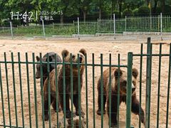-秦皇岛野生动物园