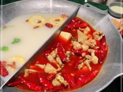-麻田会 ·鲜活现烹·牛蛙火锅(珠江新城维家思广场店)