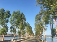 -盐洲岛