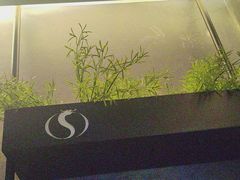 -华夏良子·足道SPA艾灸(王府井店)