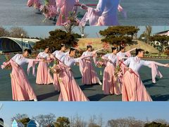 -荷兰花海