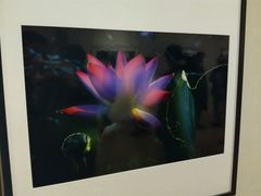 -星云文教馆