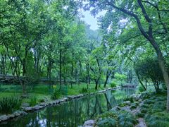 -上海共青森林公园