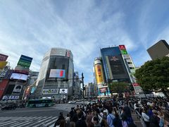 -涩谷全向十字路口