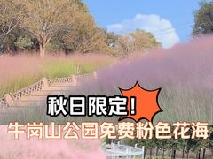 -牛岗山公园