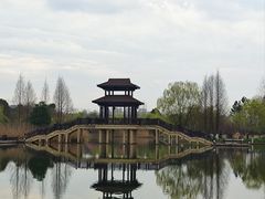 -洋湖国家湿地公园