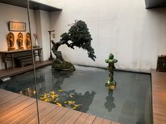-觀芷隐轩