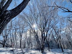 -中旅松花湖滑雪场
