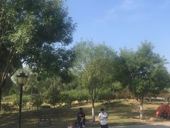 -永定河休闲森林公园