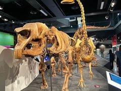 -墨尔本博物馆(Melbourne Museum)