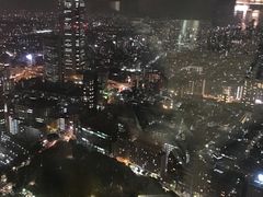 -东京都厅舍