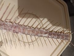 -单家老院·院子里的青岛菜(沙子口店)