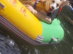 -安吉龙王山峡谷漂流