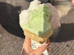 -柠檬车露(卖草地店)