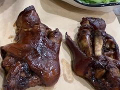 -秦皇岛野生动物园