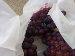 -麦园农庄·西江河鲜