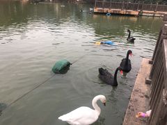 -无锡动物园·太湖欢乐园