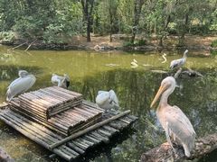 -济南野生动物世界