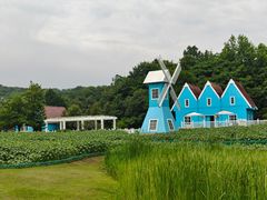 -宜兴龙背山森林公园