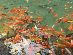 -兰溪地下长河