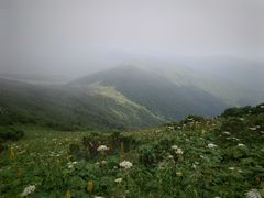 -凤凰山国家森林公园
