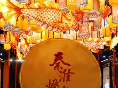-夫子庙秦淮河画舫
