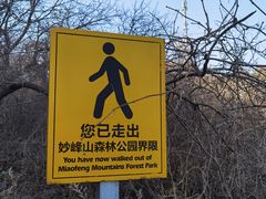 -阳台山自然风景区