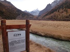 -稻城亚丁景区-冲古草甸