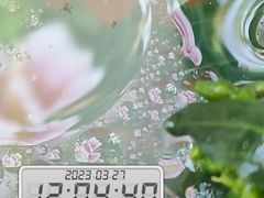 -名点一号·精致茶点·手工制作(宝华店)