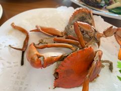 -友强·23年特色海鲜大排档(厦门店)