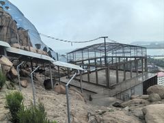 -西霞口神雕山野生动物世界