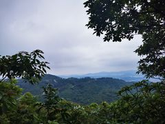 -阳台山森林公园