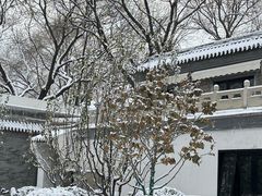 -后海公园