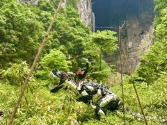 -武隆天坑寨子景区