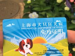 -爱侣宠医·鹦鹉专科·小型哺乳类·异宠专科(灵石路店)