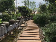 -大理地热国